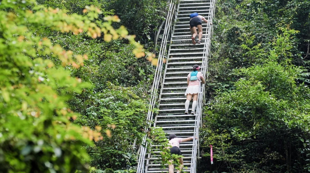 图集丨冲顶天门山，勇闯“秘径云梯”
