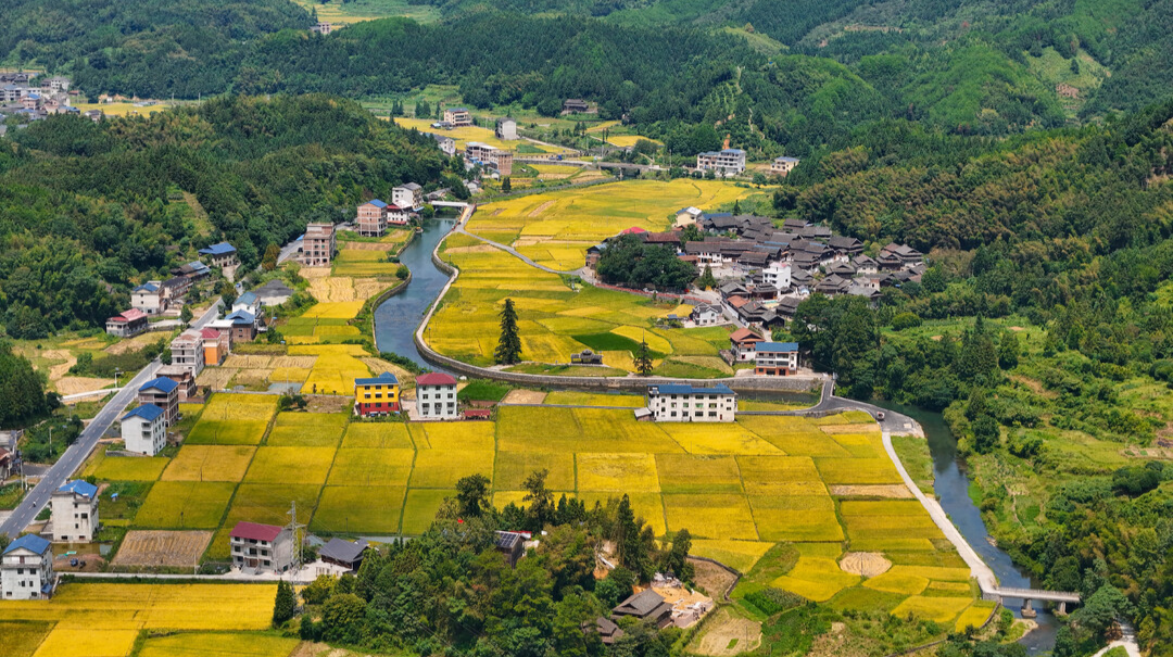 圖片新聞｜通道鄉(xiāng)村“豐”景如畫