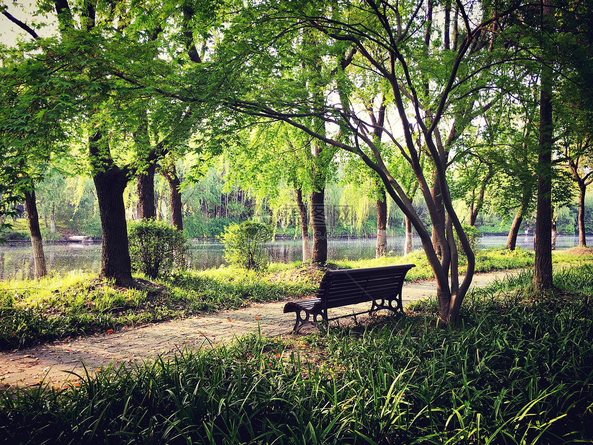 觀點 | 公園“新玩法”激發(fā)城市新活力