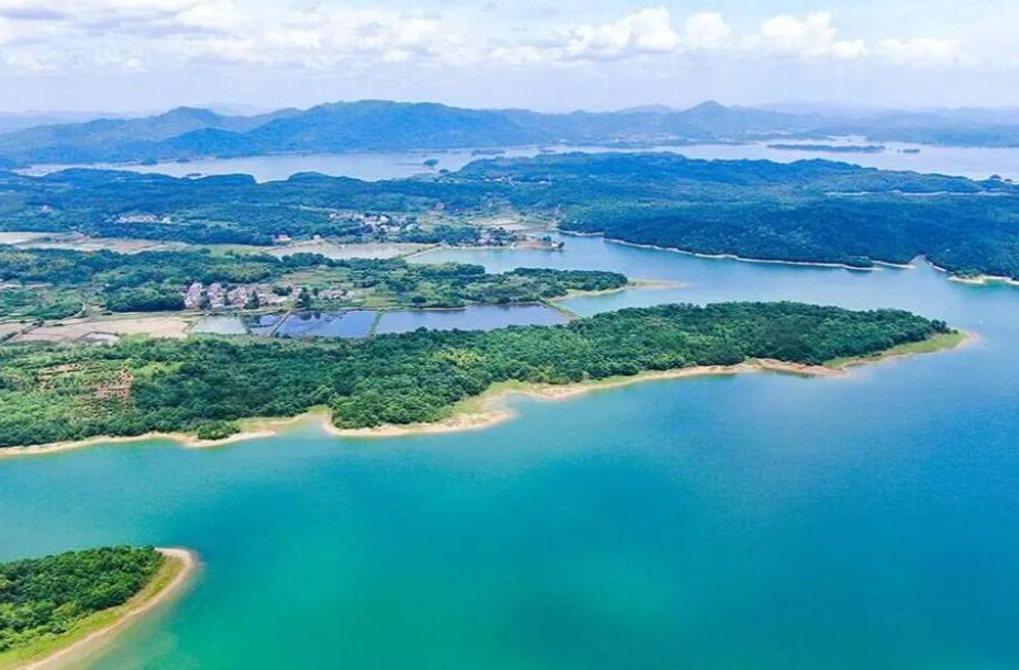 Bird Conservation Efforts Expand in Dongting Lake