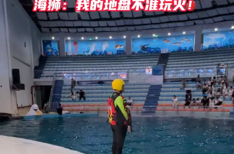 演示滅火被“教育”？海獅與消防員上演最萌“水火和解”