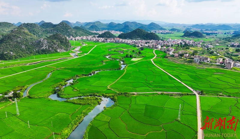 生態(tài)田園如畫卷