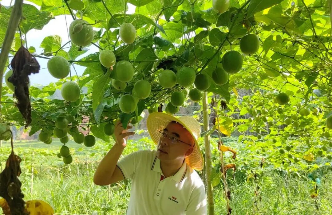 特稿丨資興長(zhǎng)坌村：重災(zāi)一年后的重生與希望