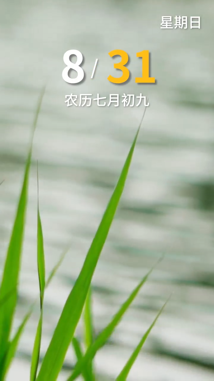 8月31日，早安！