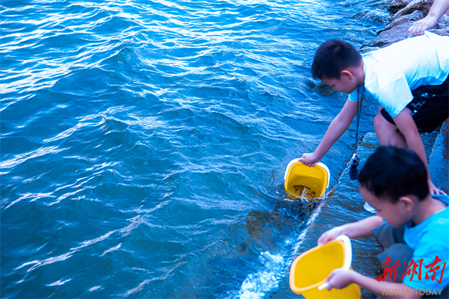 Public Welfare Fish Release Event Held in Changsha