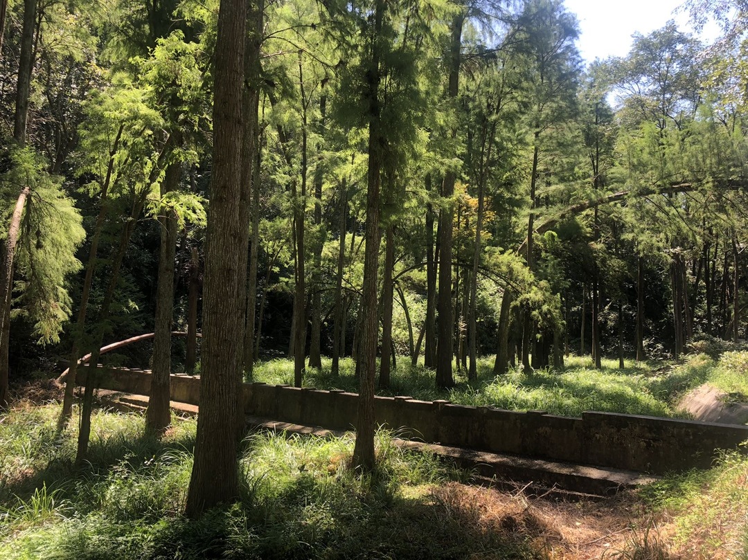 永州市集中約談生物質(zhì)焚燒管控不力縣市區(qū) 部署中元節(jié)焚燒管控工作