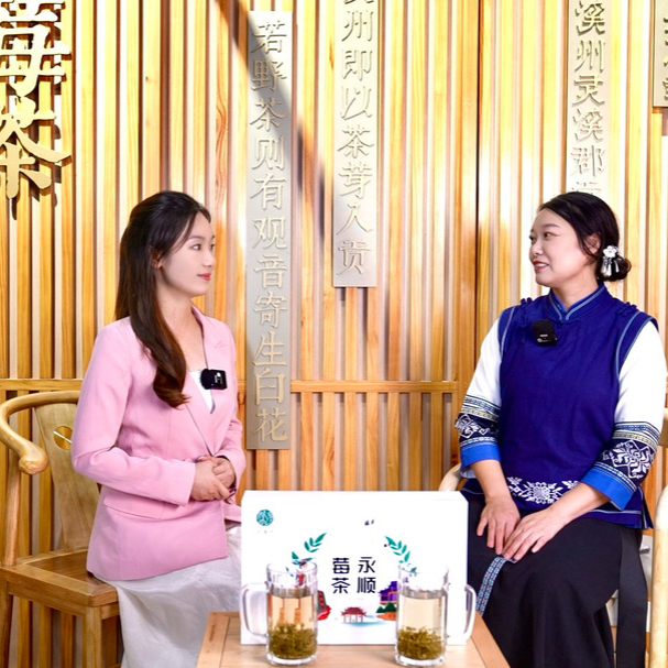 2025湖南茶博會采訪團走進永順 探訪“植物黃酮之王”莓茶產(chǎn)業(yè)