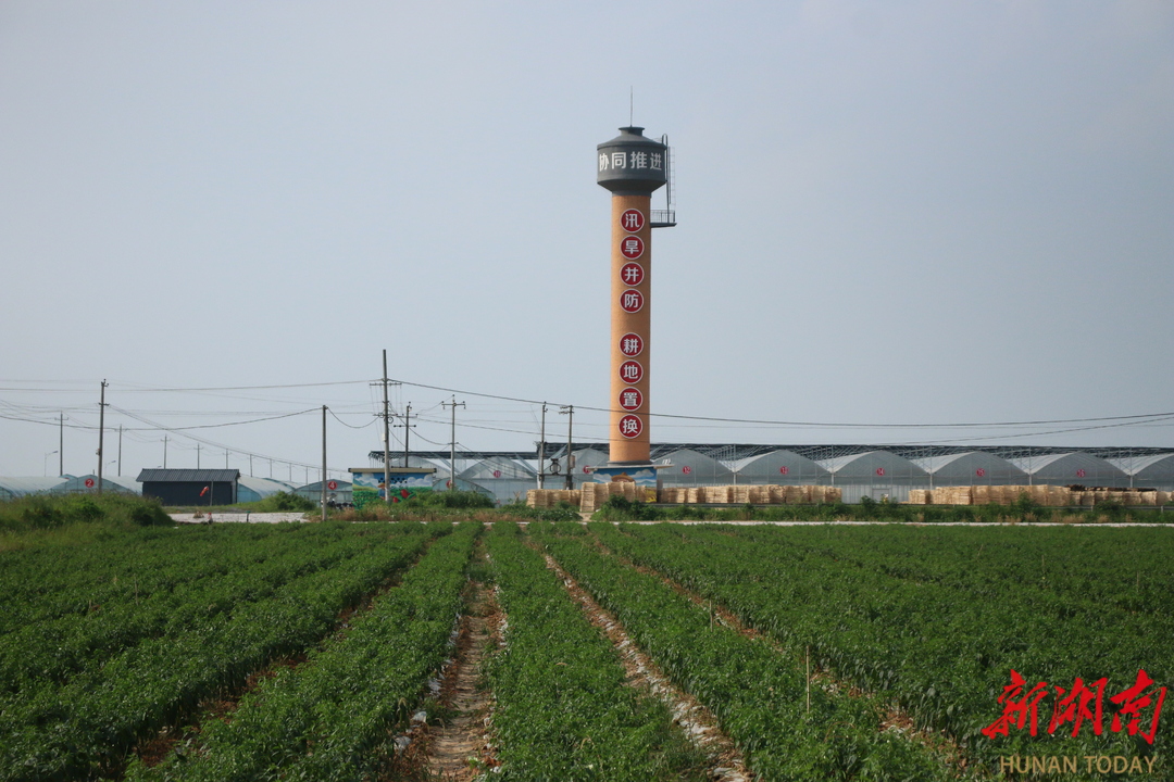 全省首個(gè)跨鄉(xiāng)鎮(zhèn)林耕置換實(shí)施方案落地漢壽 林地“上山” 耕地“下山”