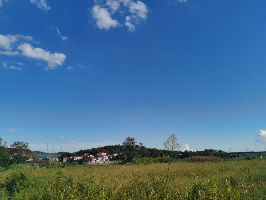 北塔區(qū)茶元頭街道：“疏堵結(jié)合”出實(shí)招 藍(lán)天保衛(wèi)見(jiàn)成效