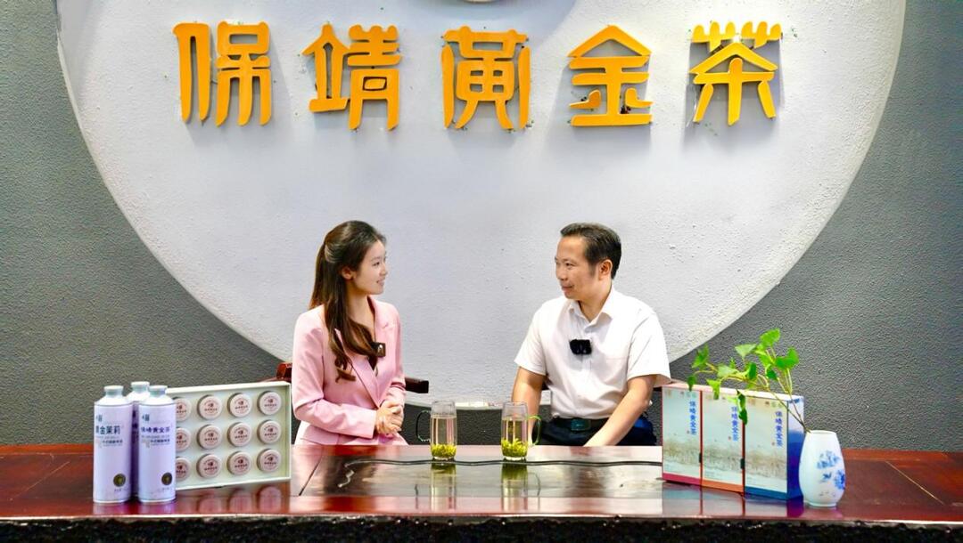 在保靖縣，湖南茶博采訪團感受黃金茶新氣象
