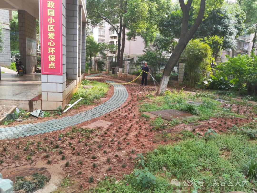 芙蓉區(qū)：居民議事會(huì)搭臺(tái) 人大代表發(fā)力 破解基層治理“急難愁盼”