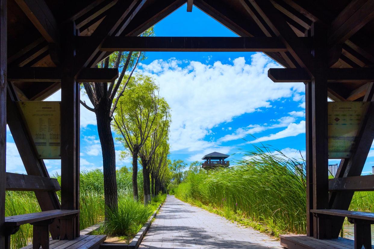 北京園博園濕地藍(lán)綠交織美景如畫