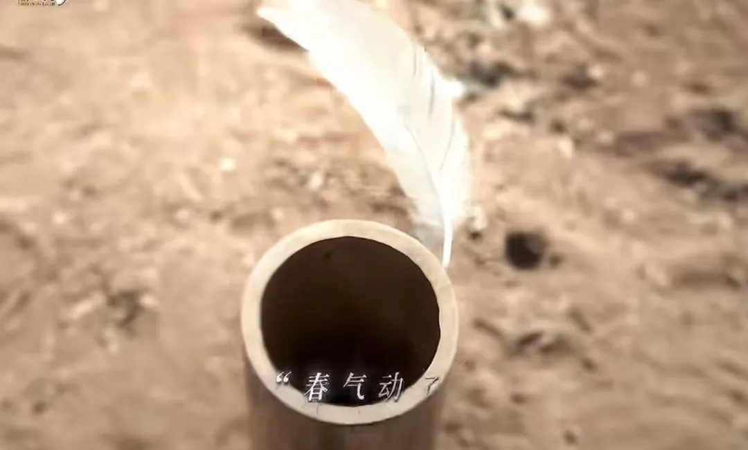 熱播劇《生萬(wàn)物》“試春氣”引熱議，立春雞毛真的會(huì)飛？