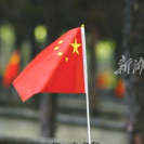 淚目！桃源縣這群志愿者為烈士陵園插上滿山紅旗