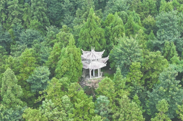 湖湘魂 壯山河丨奇兵穿插，制敵千里之外