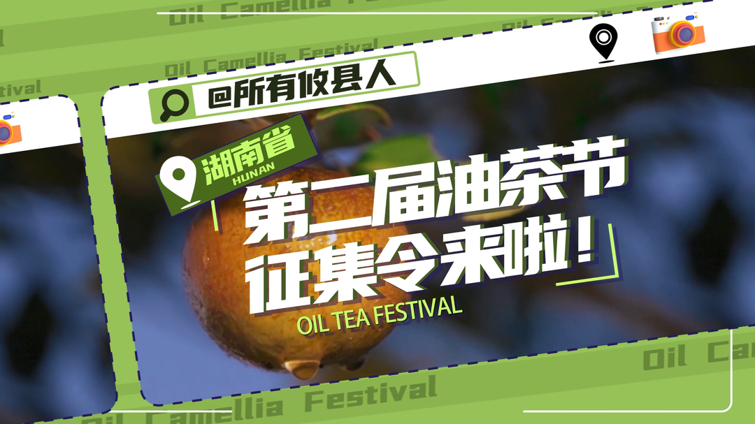 湖南省第二届油茶节征集令来啦！