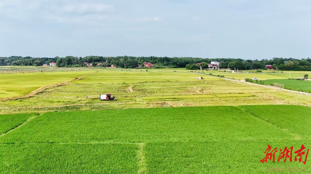 冷水滩区：大力破解农业难题，夯实高质量发展根基