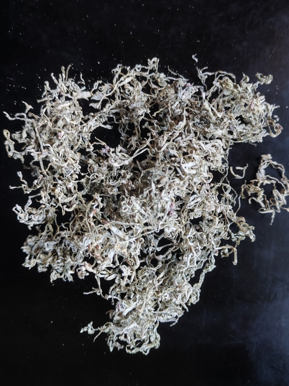 莓茶：深山中的“黃酮之王”與養(yǎng)生之寶