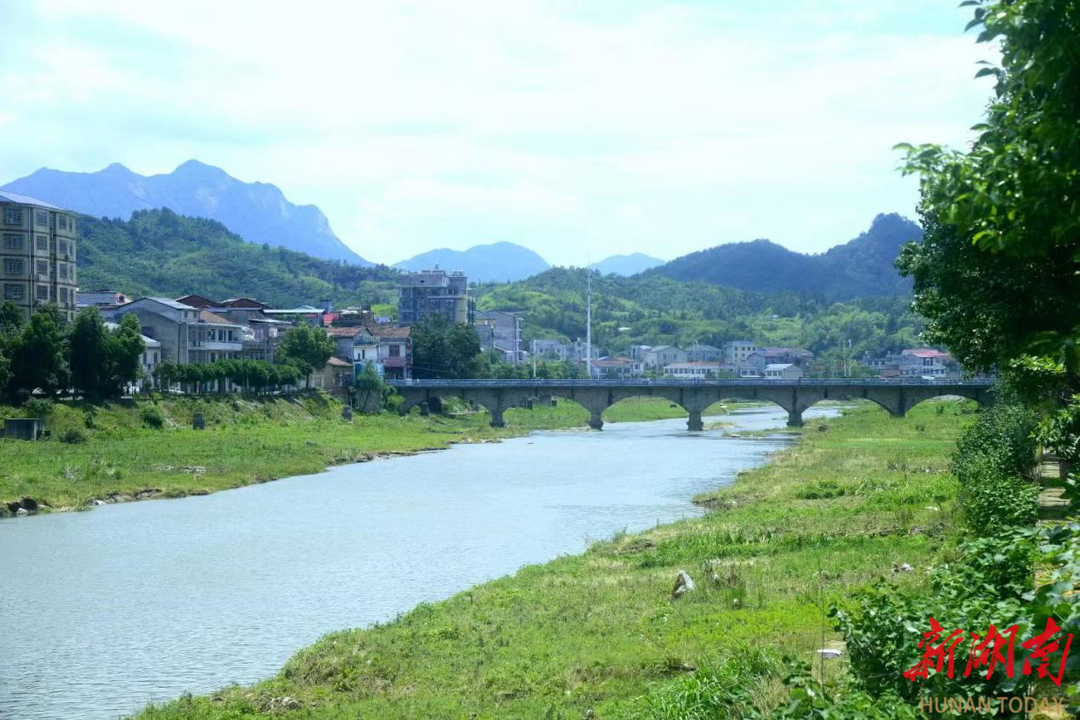 中元大會(huì)化包 漫憶中元節(jié)兼懷雙親