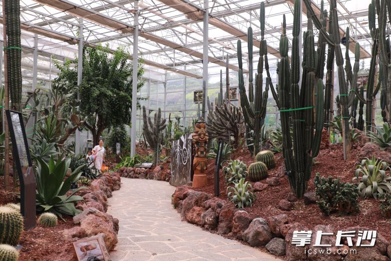 四大主題場(chǎng)館可飽覽全球生態(tài) 省植物園“天際苑”10日煥新開放