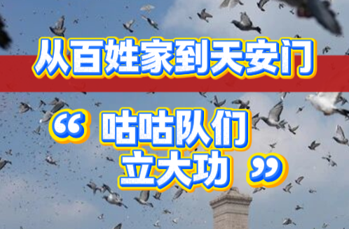 隨事開麥 | 從百姓家到天安門，“咕咕隊(duì)們立大功”