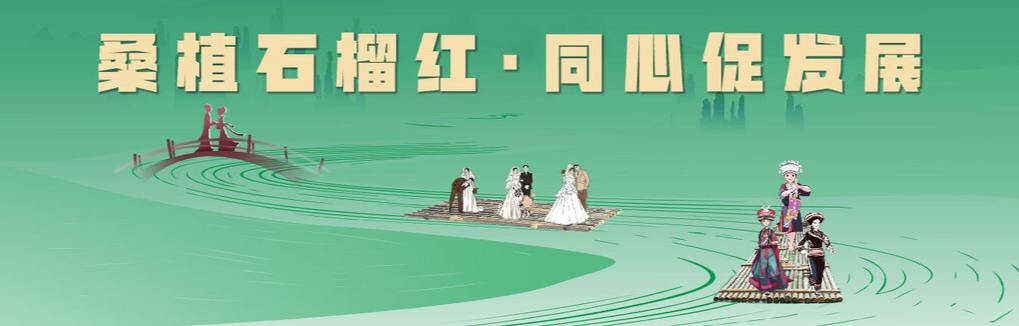 桑植石榴紅·同心促發(fā)展 