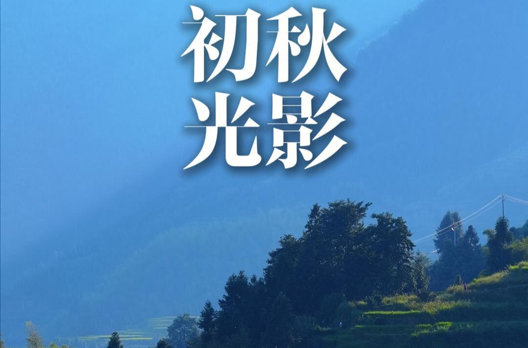 視頻|初秋，用15秒打開紫鵲界梯田光影