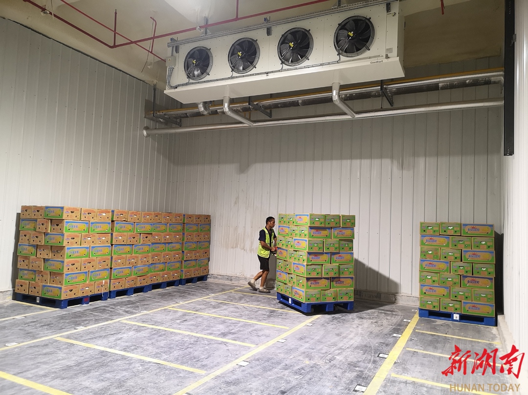 50噸老撾香蕉首入懷化智慧冷鏈倉(cāng) 懷化國(guó)際陸港水果倉(cāng)儲(chǔ)分撥中心正式成型