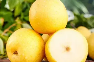 “一梨润三秋”吃梨有啥讲究？推荐4个“黄金食梨法”