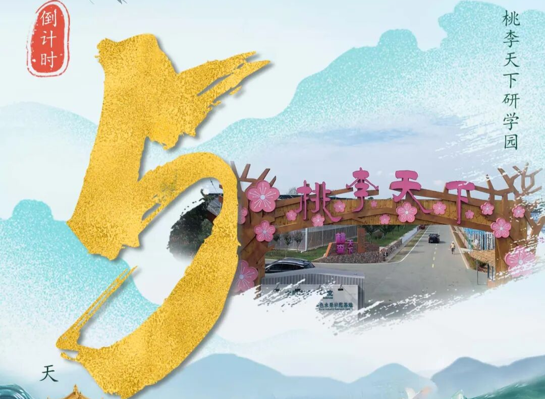 2025年益阳市文旅融合发展大会召开在即，沅江“桃李天下”研学园喊你来“去班味”