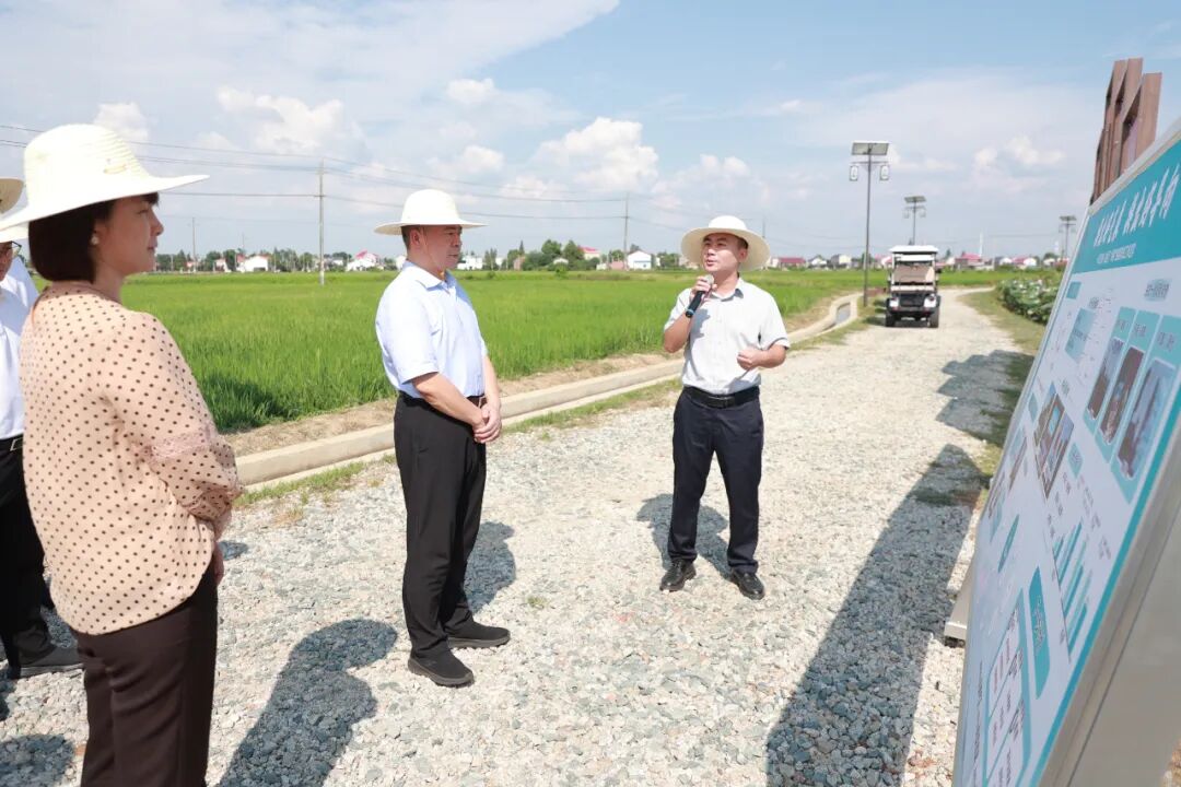 秦國良調(diào)研村（社區(qū)）“兩委”換屆準(zhǔn)備和黨建引領(lǐng)鄉(xiāng)村振興工作