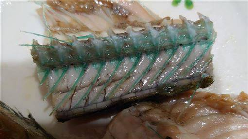 網(wǎng)友吃魚吃出翠綠色的骨頭，這是什么魚？有毒嗎？