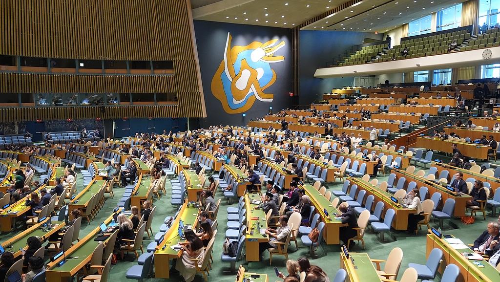 联合国将恢复举行落实“两国方案”高级别国际会议
