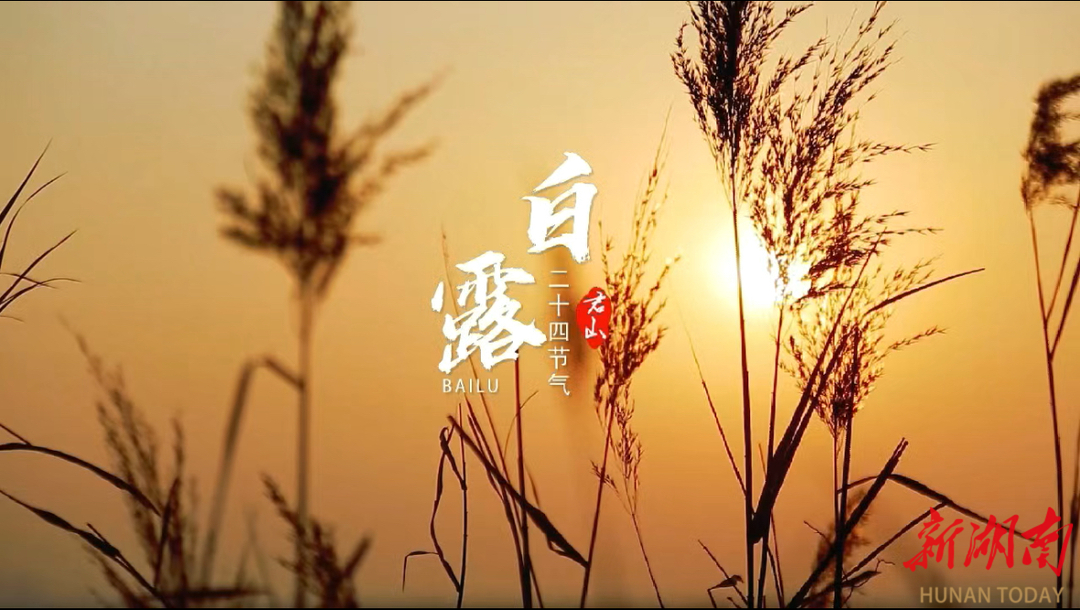 白露，漸退暑熱，秋高氣爽！