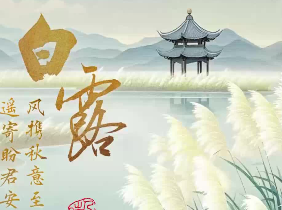 白露：乘风行 品清欢