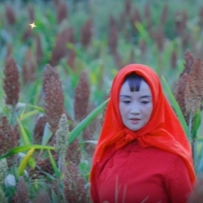 視頻丨龍山縣靛房鎮(zhèn)的高粱熟了