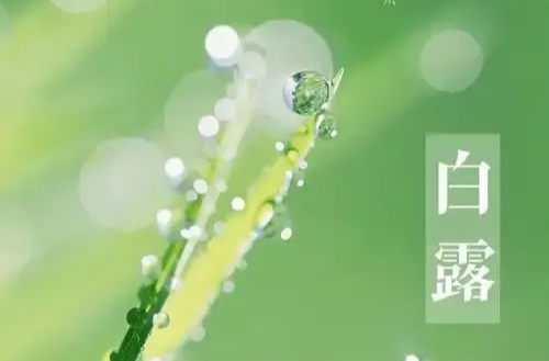 白露时节，看哪里将“一夜凉一夜”