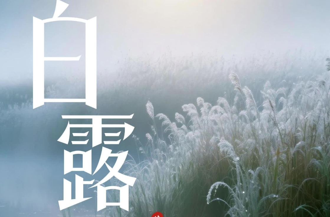 二十四节气·白露