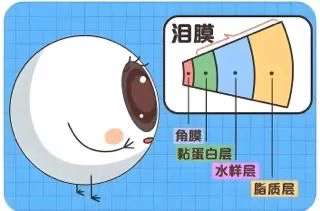 別讓“干眼”悄悄傷了眼