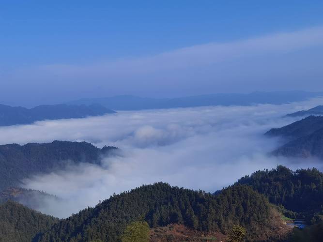 雪峰山 詩歌的百味園——讀王行水的鄉(xiāng)菜組詩《舌尖飛舞》