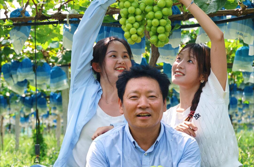 田坎侃丨跌落“神壇”的陽光玫瑰，味道變了嗎