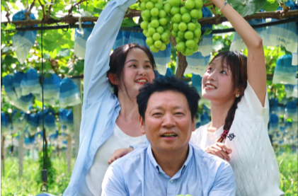 田坎侃丨跌落“神壇”的陽光玫瑰，味道變了嗎