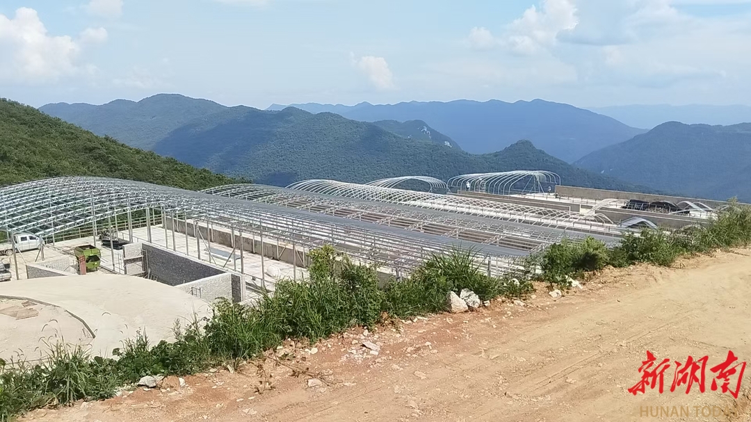 桑植县：畜禽保种场建设如火如荼