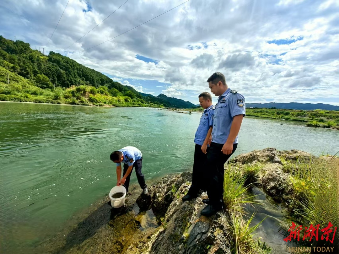 溆浦：警民聯(lián)動助力“娃娃魚”回家