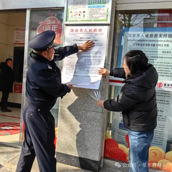 青山為證 羽翼生輝——張家界筑牢鳥類保護(hù)屏障