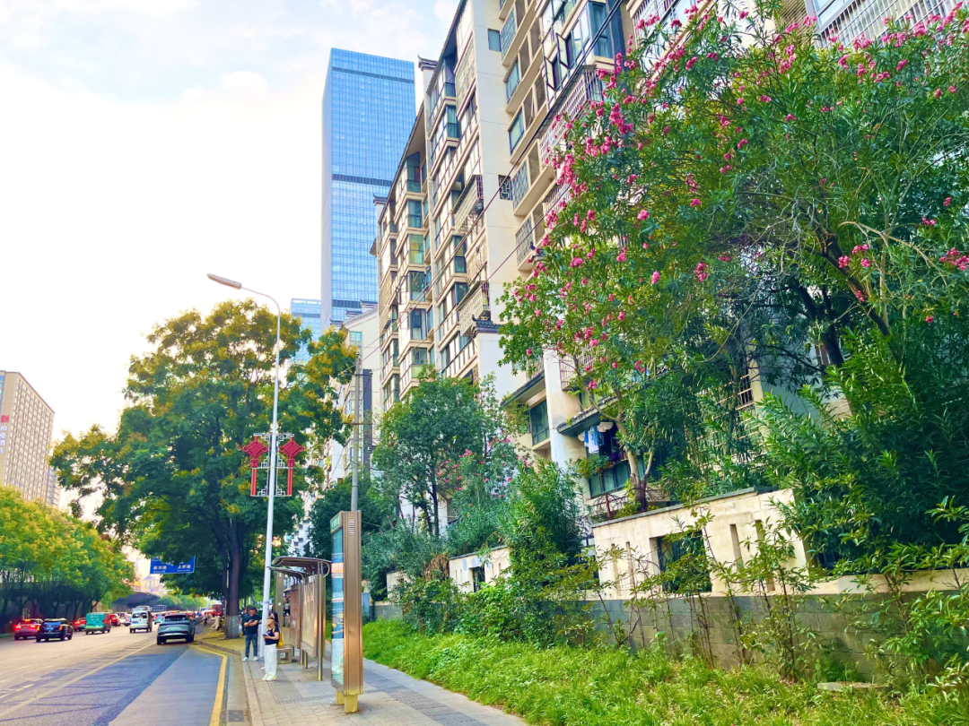 在您家門口！雨花街巷大變樣……
