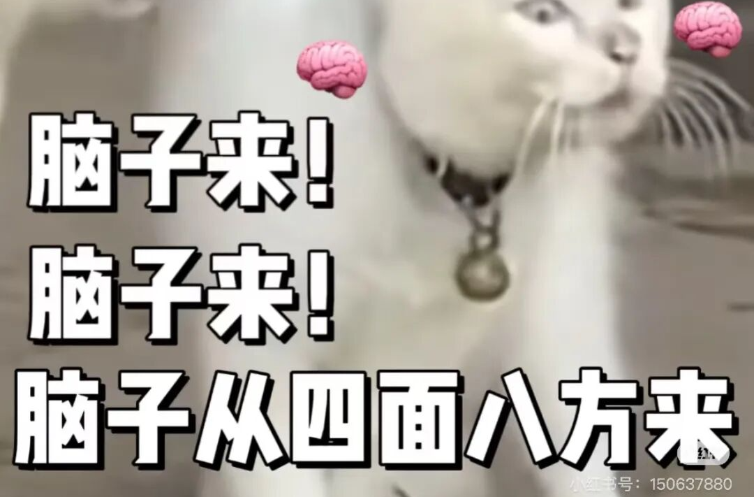 “長(zhǎng)腦子”最快的 5 個(gè)小妙招，0成本超簡(jiǎn)單，強(qiáng)烈建議你試試！