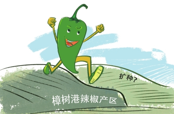地方立法撐起產(chǎn)業(yè)“保護傘” 樟樹港辣椒擬擴種來突圍？