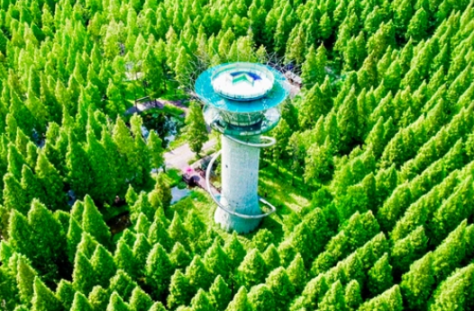 三項林草碳匯領(lǐng)域國家標準正式發(fā)布