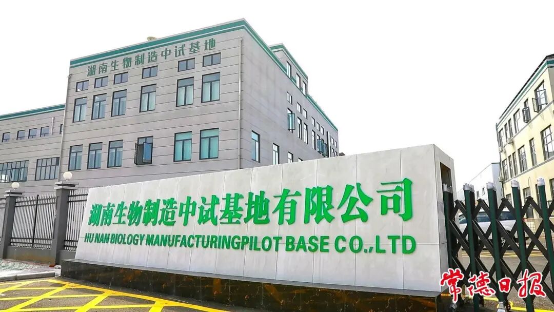 津市合成生物技術中試基地“有點忙”